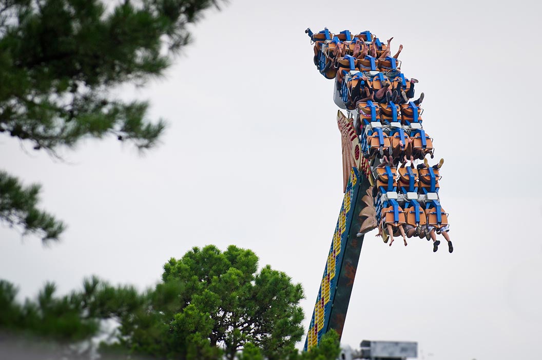 The Hawk at Magic Springs